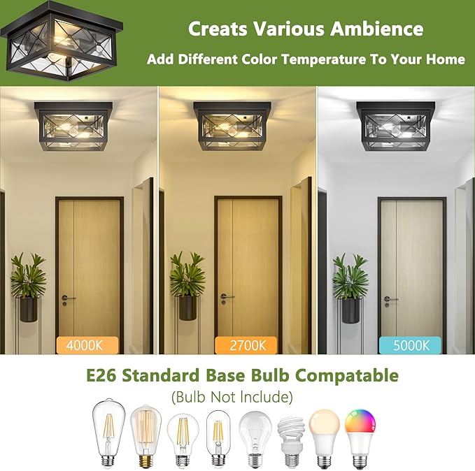 Asnxcju Farmhouse Light Fixtures Ceiling Mount, 2-Light Black Flush Mount Ceiling Light with Clear Glass Shade, Metal Cage Square Close to Ceiling Lamp for Bathroom Kitchen Porch (Bulbs Not Included)
