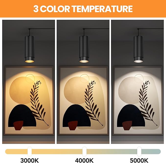 Zoomable Remote Pendant Grow Lights with Auto On/Off Timer, 2X 30W Full Spectrum LED Plant Light 2700K-6000K Dimmable Plug in Hanging Lights for Indoor Plants 20FT Power Cord, Black 2PCS