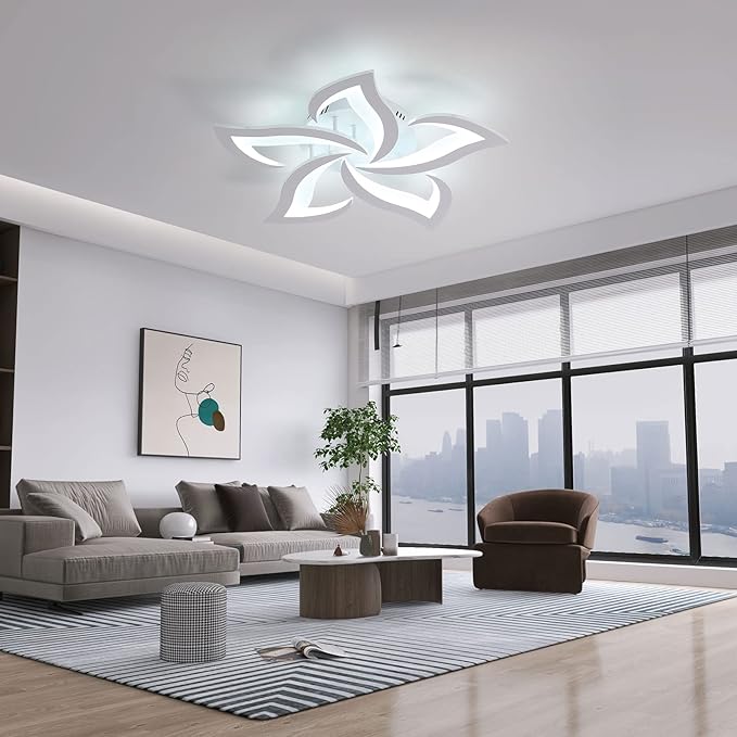 DELIPOP LED Ceiling Light Fixture, 6500K Modern LED Flush Mount Ceiling Lights, 23.6 inch Acrylic Ceiling Lamp for Living Room Dinning Room Kitchen Bedroom Ceiling Light Fixtures Ceiling Mount