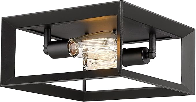 Emliviar 2-Light Flush Mount Ceiling Light, 11 Inch Farmhouse Ceiling Light Fixture for Bedroom, Black Finish with Aluminum Frame, 3040-2 BK