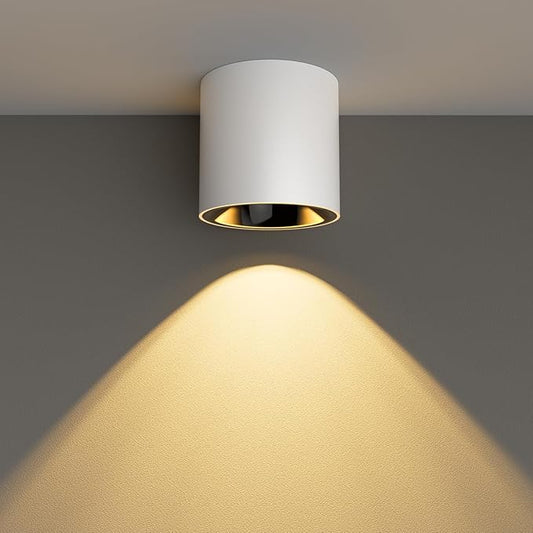 24W LED Dimmable White Ceiling Spot Light 4.92'' Aluminum CRI90 3000KCylinder Spotlight Indoor Modern Minimalist Focus White Ceiling Down Light Fixture for Living Room Hallway Foyer