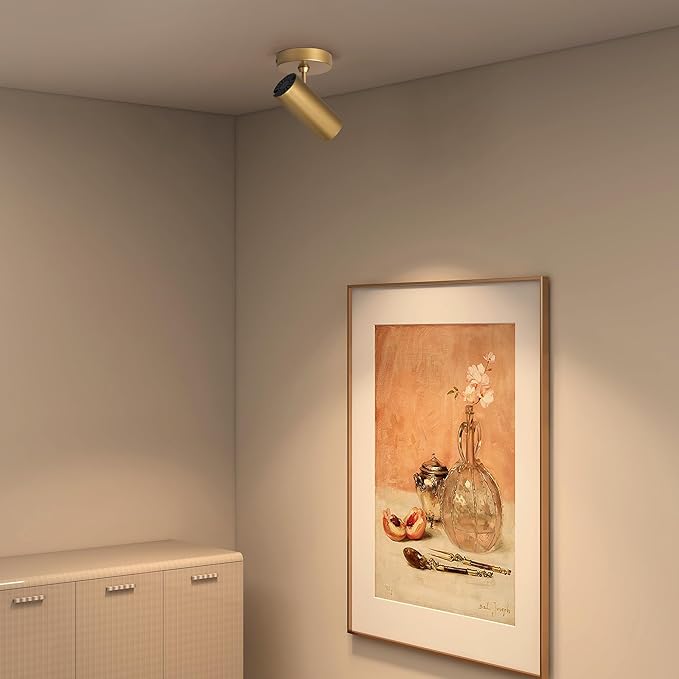 Aisilan 12W LED Gold Directional Ceiling Spot Lights Indoor - Adjustable 90°Spotlight Lighting, Anti-Glare, Warm Light, CRI 97, Flicker-Free - Ideal for Picture Painting and Living Room Accent Light