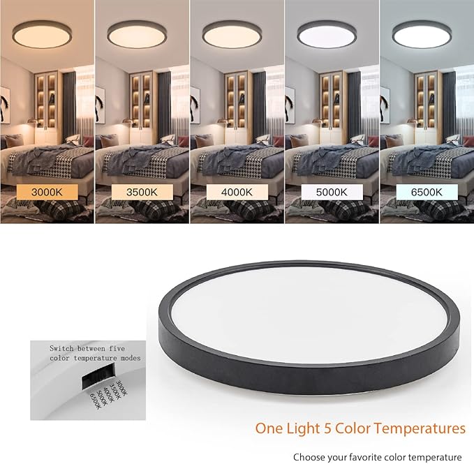 TALOYA Dimmable Flush Mount Ceiling Light,10Inch,20W,5 CCT,LED Ceiling Light Fixture for Bedroom,Kitchen,Living Room,Black