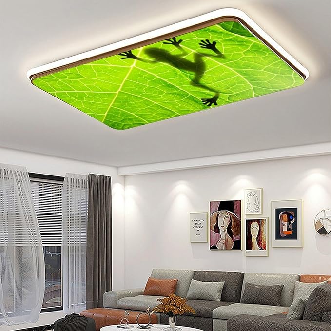 2 Pack Fluorescent Light Cover for Ceiling, Funny Frog Magnetic Classroom Lights Covers, School Supplies for Home Office