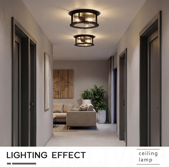 Emliviar 12.6" Farmhouse Flush Mount Ceiling Light, 2-Light Modern Close to Ceiling Light Fixture for Kitchen, Hallway Mounted Lantern with Clear Glass, Black Finish, YE19108-F1 BK