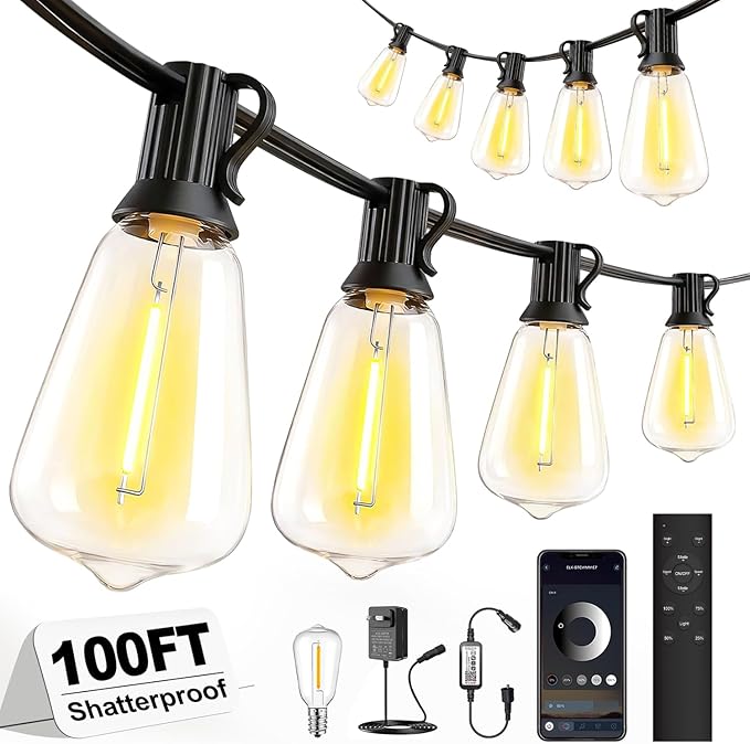 Outdoor String Lights 100FT, APP & Remote Control Dimmable Patio Lights, Plug in LED String Lights with Timer, Waterproof Backyard Pergola Garden Party Decor