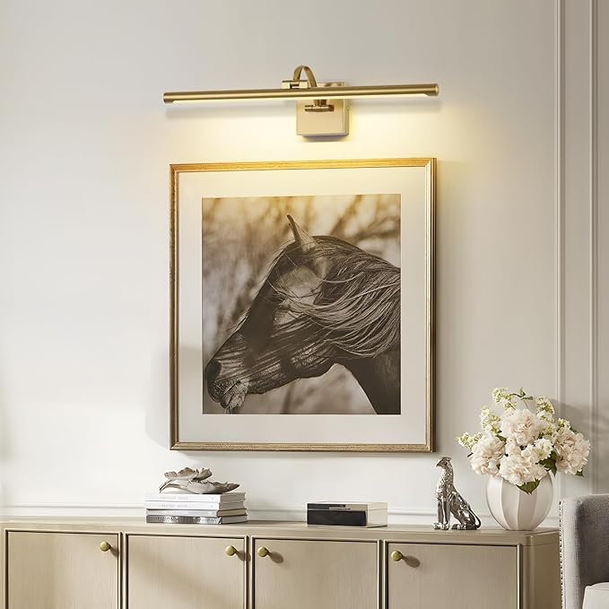 DESOOP Brass Picture Lights for Wall Hardwired LED Picture Frame Light Dimmable Painting Lights for Wall Portrait Artwork 23.62 inch 14W Warm White