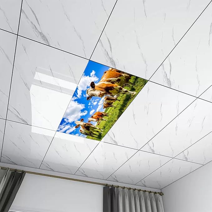 2 Pack Fluorescent Light Covers - Funny Cattle Magnetic Ceiling Light Covers for Classroom & Home Office