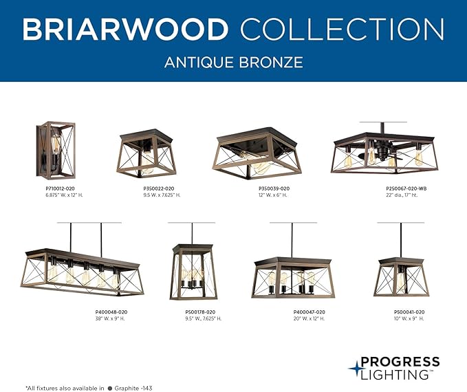 Progress Lighting 2-Light Ceiling Light, Flush Mount Ceiling Light Fixture for Interior Kitchen Lights, Hallway, Bedroom, Living Room, 12-Inch by 6-Inch, Briarwood Collection, Antique Bronze