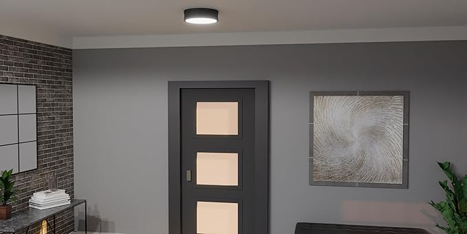 Quoizel Ahoy Round Flush Mount Ceiling Light, 13 Inch Etched Glass Drum Light with Metal Shade, 25 W LED, 1700 Lumens, Close to Ceiling Light Fixtures for Home, Kitchen or Office Lighting
