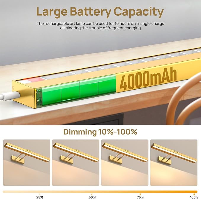 PESUTEN Picture Light Battery Operated, 16in Wireless Art Light for Paintings CCT Dimmable Recharging Battery Picture Light with Remote Control for Gallery Dartboard Art Bedroom Bathroom 2pcs Gold
