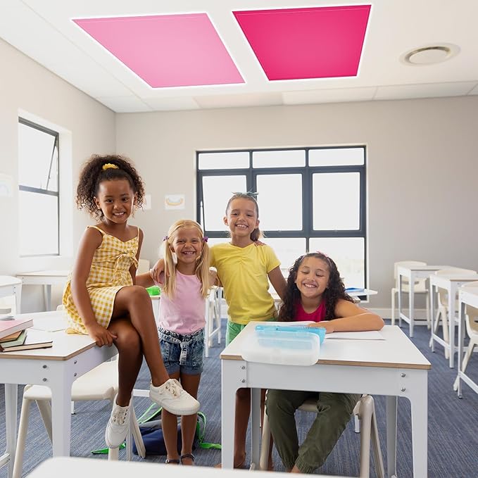 QOUBAI 4PCS Fluorescent Light Covers, 4x2 Feet Magnetic Light Cover Fluorescent Lights Shade Panel Positive Inspirational Ceiling Lights Filters for Office Classroom Home Drop Ceiling Red Pink