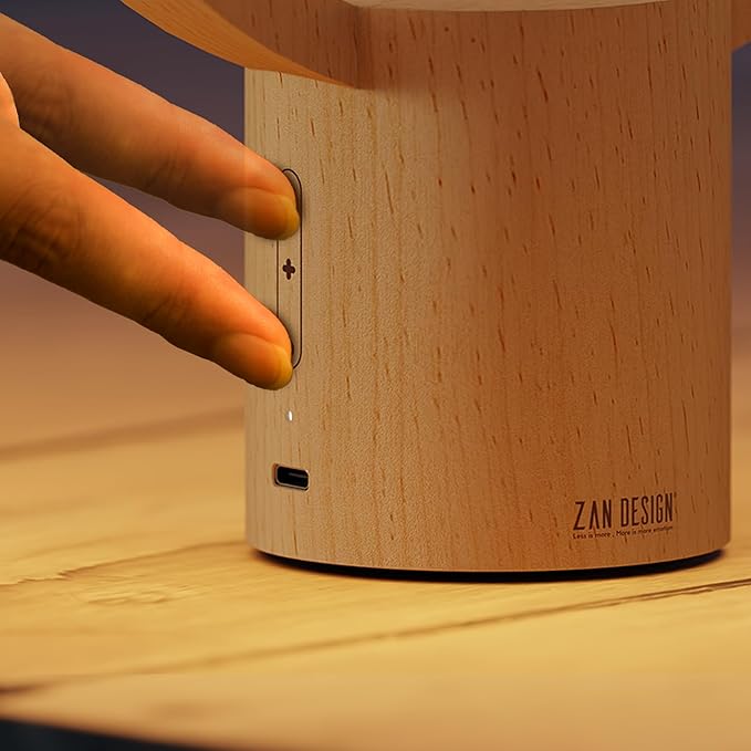 Table Lamp for Bedroom - Balance Lamp,Bedside Lamp with Touch Dimmer,Nightstand Lamp,3 Level Brightness Rechargered Night Light for Home,Office,College Dorm (Wood Color)