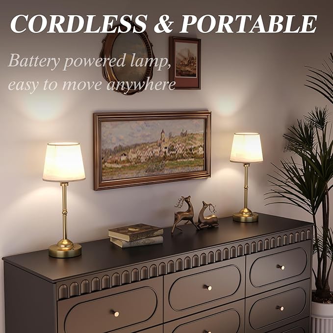 CHLORANTHUS Cordless Table Lamps, 3 Colors Stepless Dimming Fabric Desk Lamp, 6000mAh Rechargeable Battery LED Desk Lamp for Bedroom, Camping, Dining, Bar, Night Light, Desk, Cafe