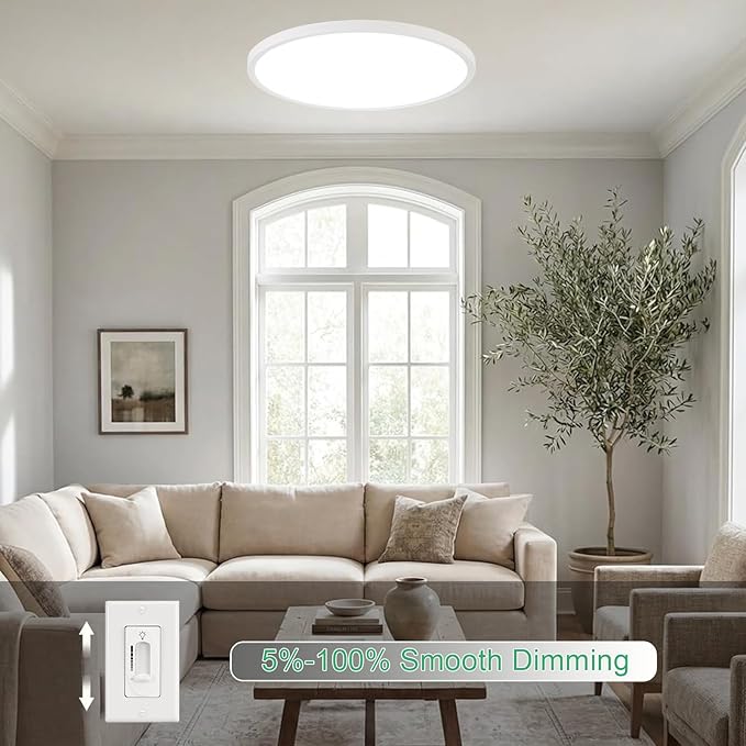 20 Inch Large LED Flush Mount Ceiling Light Fixture,45W,4600LM,3000K/4000K/6000K CCT Selectable,0.9 inch Super Slim Round Ceiling Light for Bedroom,Hallway,Kitchen (Dimmable White 2PK)