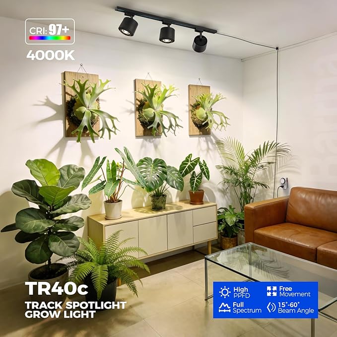 Barrina TR40c Track Grow Light for Indoor Growing, 3 x 40W, 15°-60° Adjustable Beam Angle, 4000K Ceiling Mount Full Spectrum Grow Lamp, LED H-Type Plant Light Bulbs for House Plants with Timer, Blcak