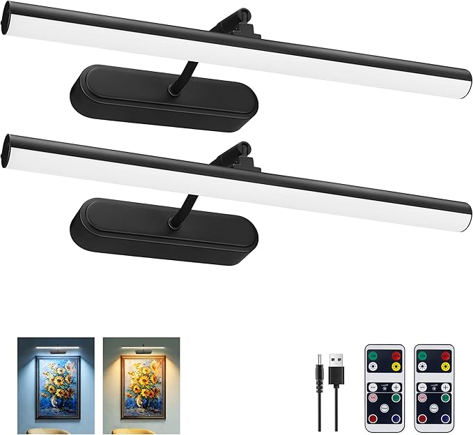 RAIFOOLLY Picture Light, Art Light for Paintings, 5000mAhBattery Operated Wall Light, Remote Accent Light with Timer and Dimmable for Frame, Portrait, Dartboard - Black 2PK
