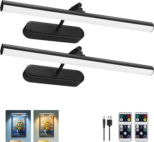 RAIFOOLLY Picture Light, Art Light for Paintings, 5000mAhBattery Operated Wall Light, Remote Accent Light with Timer and Dimmable for Frame, Portrait, Dartboard - Black 2PK