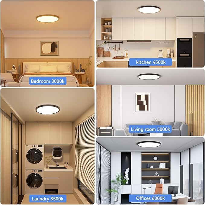 2 Pack 12 Inch Dimmable LED Flush Mount Ceiling Light Fixture 28W 3200LM 5 Color Temperature in One Super Slim Round Ceiling Lamp Low Profile Ceiling Lights for Living Bedroom Kitchen Laundry Black