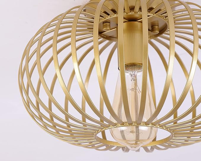 Fivess Lighting Modern Gold Flush Mount Light Fixture Metal Cage Single Semi Flush Mount Ceiling Light for Hallway Bedroom Kitchen Entryway Farmhouse