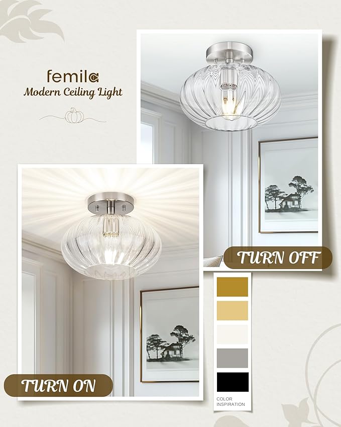 FEMILA 10.3" Brushed Nickel Ceiling Lights, Pumpkin-Shaped Glass Ceiling Light for Living Room, Bedroom, Kitchen, 4FYD85F BN