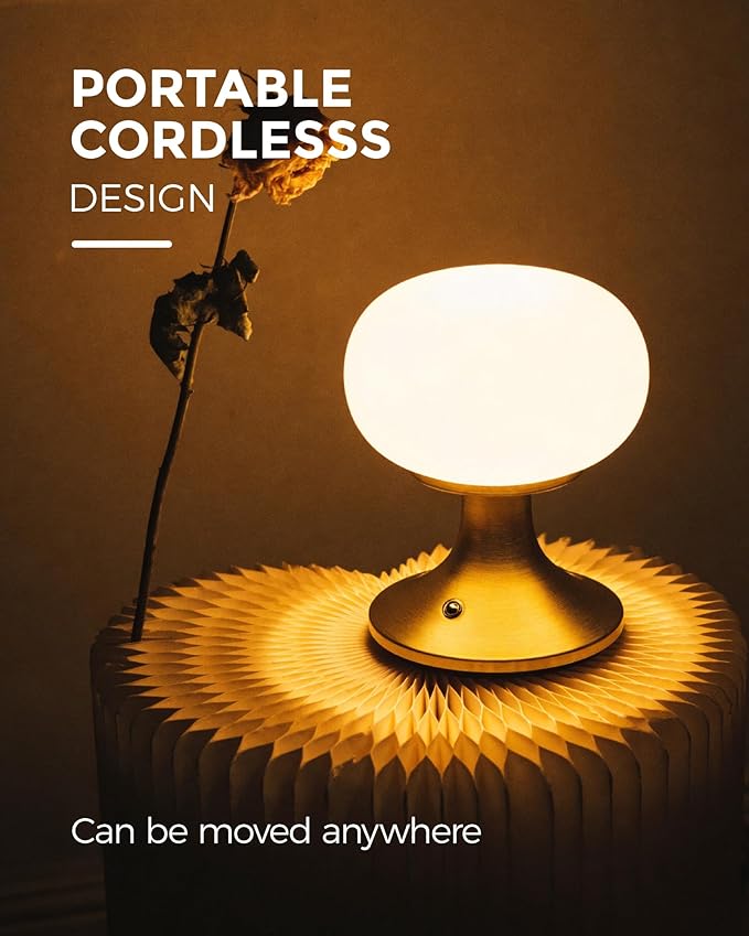 Cordless Table Lamp, LED Mushroom Lamp with Glass Shade & Stepless Dimming, Touch Control Nightstand Lamp for Bedroom,Living Room,Dining Table