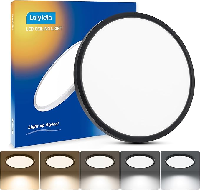24Watts 2640LM Flush Mount Ceiling Light, 5 CCT Selectable 2700K-6500K, 12 Inch Ultra Thin Flat Panel LED Light Fixture for Bedroom Kitchen Hallway Closet Room, Matte Black,1-Pack