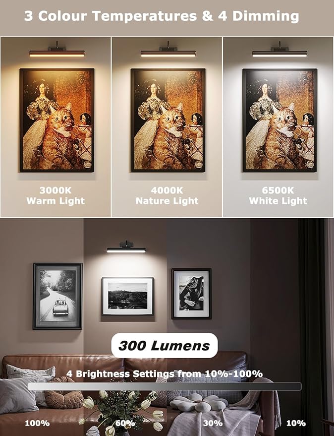 Skairipa Picture Light, Wireless Picture Light with Remote, Battery Operated 5000mAh, 3 Color Modes and Dimmable LED Lights with Timer for Paintings, Gallery, Wall, Dartboard, Bedroom (Black-1Pack)