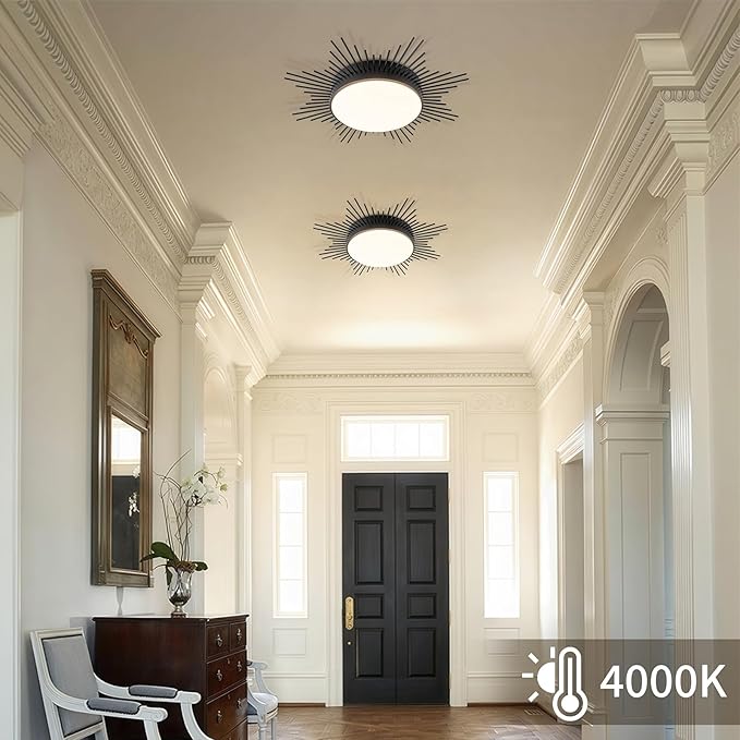 D23.6 in. LED Ceiling Light, Flower Ceiling Light Dimmable Ceiling Lights Flush Mount Flower Light Fixture Black Firework Hallway Light Fixtures for Kids Room Bedroom 5CCT 2700K-5000K