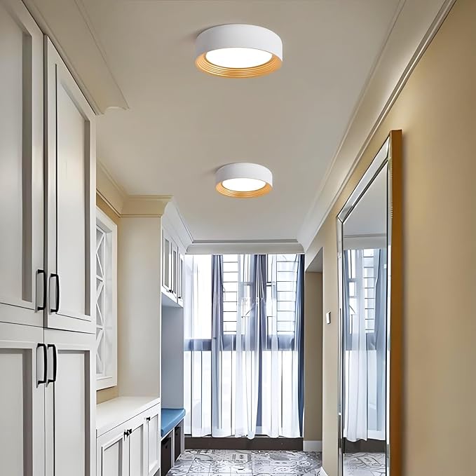 Dimmable Modern LED Flush Mount Ceiling Light,11.8 Inch 5CCT 24W/3000K-6000K,Minimalist Round White and Gold Close to Ceiling Lighting Fixtures for Kitchen,Hallway,Laundry Room,Entryway,Porch