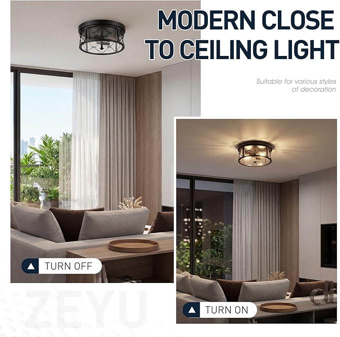 zeyu 2-Light Flush Mount Ceiling Light Fixtures, 12 Inch Lighting Fixture for Kitchen with Clear Glass, Black Ceiling Light, ZY25-F BK