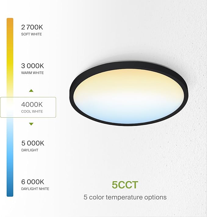 ASD LED 12" Round Flush Mount Ceiling Light Fixture, Low Profile Surface Lighting | 5CCT, Dimmable, Ultra-Thin, ETL Listed | 24W 1900LM 2700-6000K 120V | Kitchen, Hallway Lamp | Black, 12 Pack