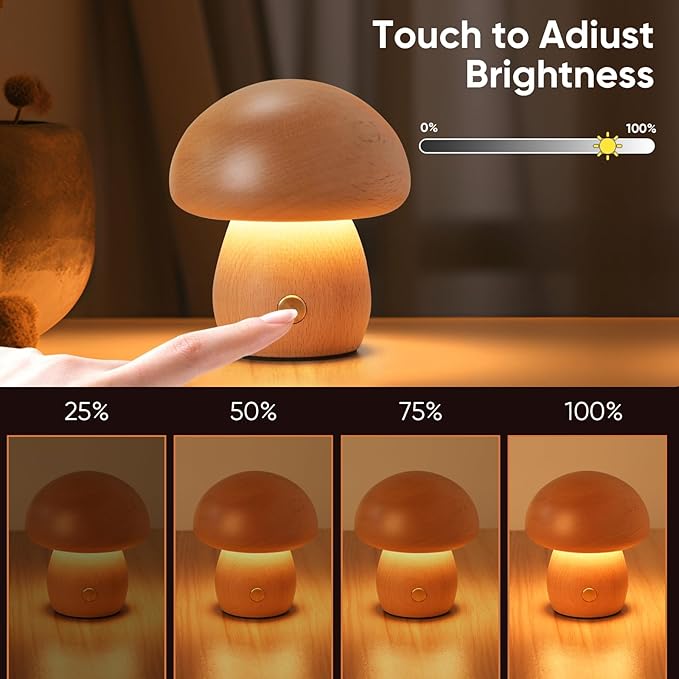 LONRISWAY Portable Cordless Rechargeable Battery Operated Lamp,Stepless Dimming, Small Table Lamp Portable Night Light, Dimmable Touch Control Warm LED Light for Bedroom, Nursery, Patio Decor
