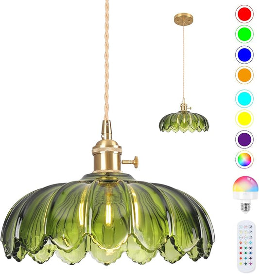 Battery Operated Pendant Light,Vintage Light Fixtures RGB Rechargeable Light Bulb 2500mAh 9.8in with Remote Control Wireless Adjustable Chandelier for Kitchen Island Hallway 1 Light