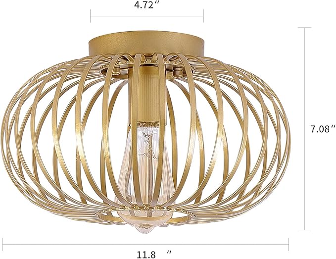 Fivess Lighting Modern Gold Flush Mount Light Fixture Metal Cage Single Semi Flush Mount Ceiling Light for Hallway Bedroom Kitchen Entryway Farmhouse