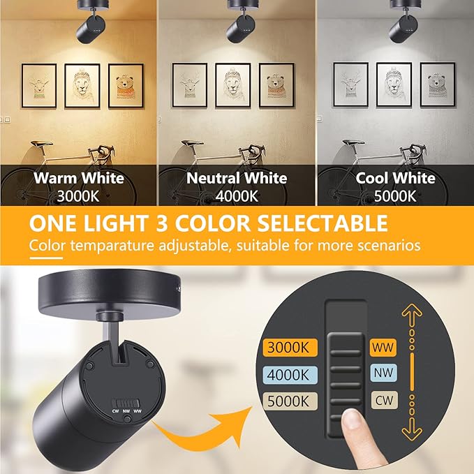 VANoopee 3-Color Dimmable Ceiling Spotlight Flush Mount Adjustable Spotlight Directional LED Spot Lights Indoor Bright Accent Monopoint Fixture for Wall Living Room Bedroom -CRI90 36° 30W 3000lm Black