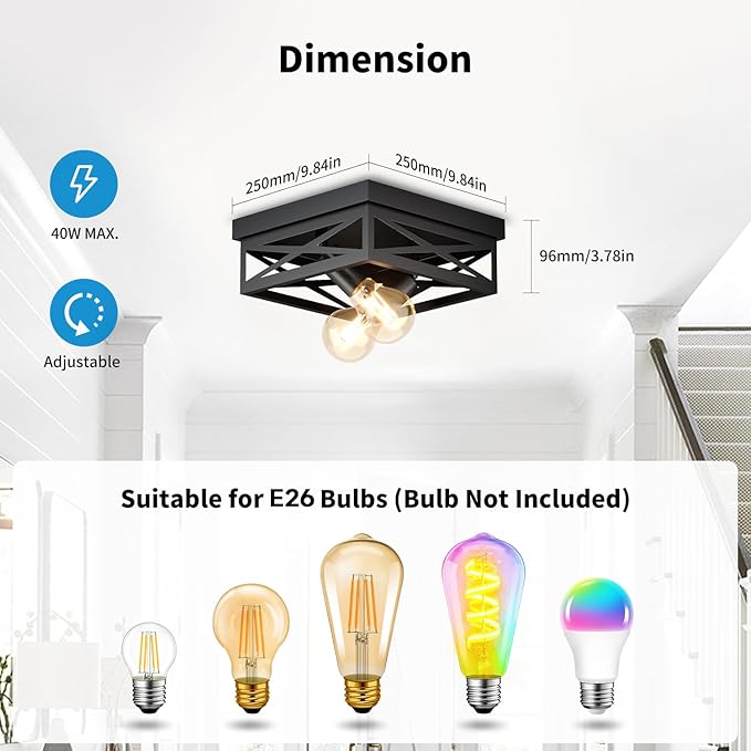 LVWIT 9.8 Inch Flush Mount Ceiling Light Fixtures, 2-Light Black Light Fixtures Ceiling Mount, Square Hallway Light for Kitchen Entryway Hall (E26 Base, Bulbs Not Included)