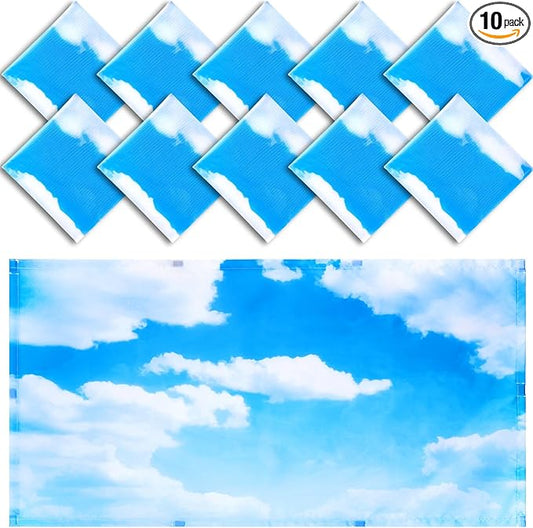 Funtery 10 Pack Fluorescent Light Covers 2 x 4 ft Magnetic Cover Ceiling Classroom Light Filters Cubicle Shield for Classroom Office Home Drop Ceiling Decorations(Blue Sky Cloud)