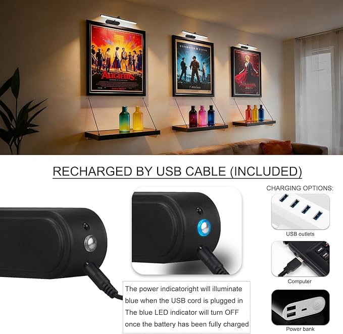 RAIFOOLLY Picture Light, Art Light for Paintings, 5000mAhBattery Operated Wall Light, Remote Accent Light with Timer and Dimmable for Frame, Portrait, Dartboard - Black 2PK