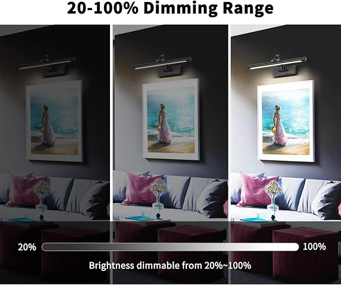 DESOOP Picture Lights Battery Operated with Remote and Dimmable Function, Rechargeable Gallery Light Black Art Light Wireless Painting Lights 16'' Inch for Display, Portrait, Artwork, Warm White