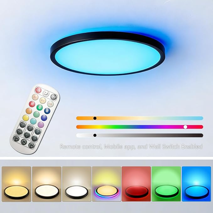 Smart Ceiling Light 12 Inch - RGB Rear Color, Living Room Lighting fixtures Ceiling, Black, 2-Pack