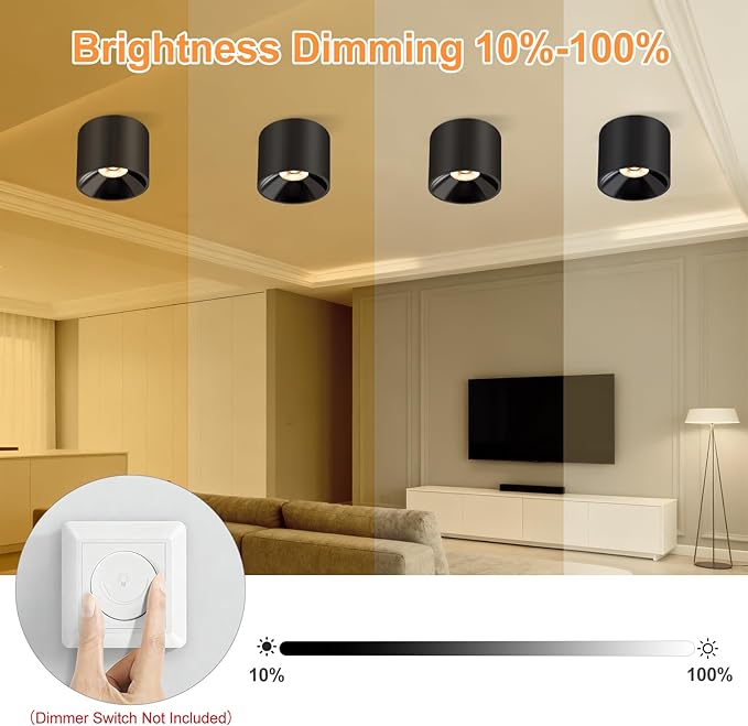 Flush Mount Dimmable Ceiling Light, Modern Close to Ceiling Light Fixtures for Hallway, Closet, LED 3000K Black Cylinder Ceiling Light Spot Lights for Living Room Kitchen Entryway Foyer