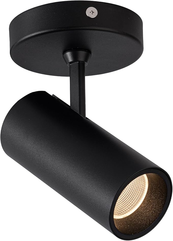 Aisilan Led Modern Directional Dimmable Spotlight Adjustable 90° Anti Glare Ceiling Spot Light for Indoor Foyer Living Room Warm White Black 9W CREE COB CRI 97 MSD015PB3K9WDim