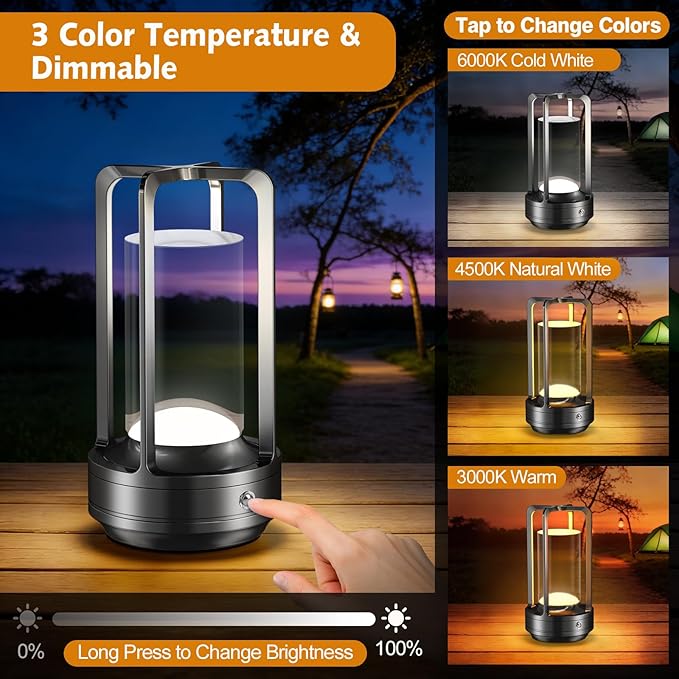 Portable Table Lamp for Outdoor Indoor: Cordless Rechargeable Desk Lamp with 3 Color Stepless Dimmable - Metal Battery Operated Lantern Light for Bedroom/Bar/Coffee Shop/Camping (Graphite)