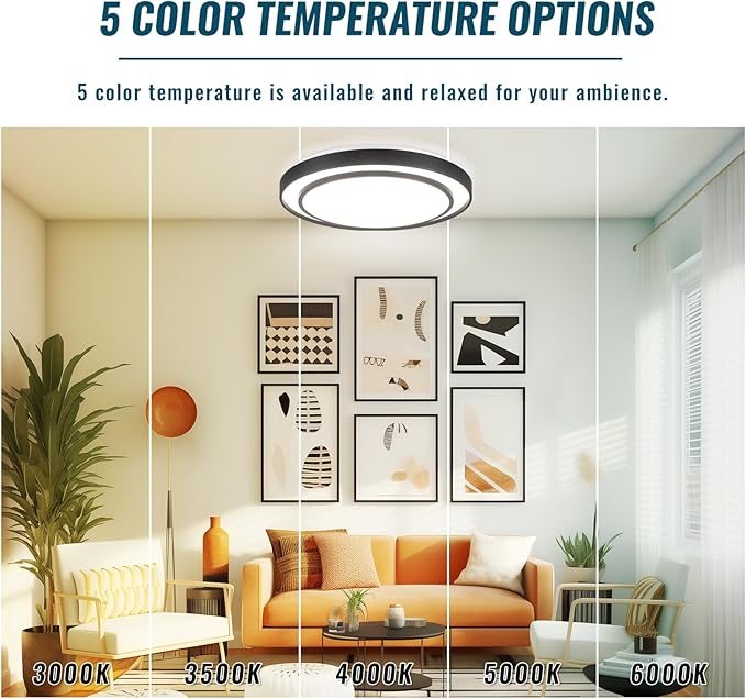 2Pack 20" LED Flush Mount Ceiling Light Fixture 5CCT, Black Dimmable Light Fixture Ceiling Mount 36W, Modern Simple Close to Ceiling Light Fixtures for Living Room,Kitchen, Bedroom