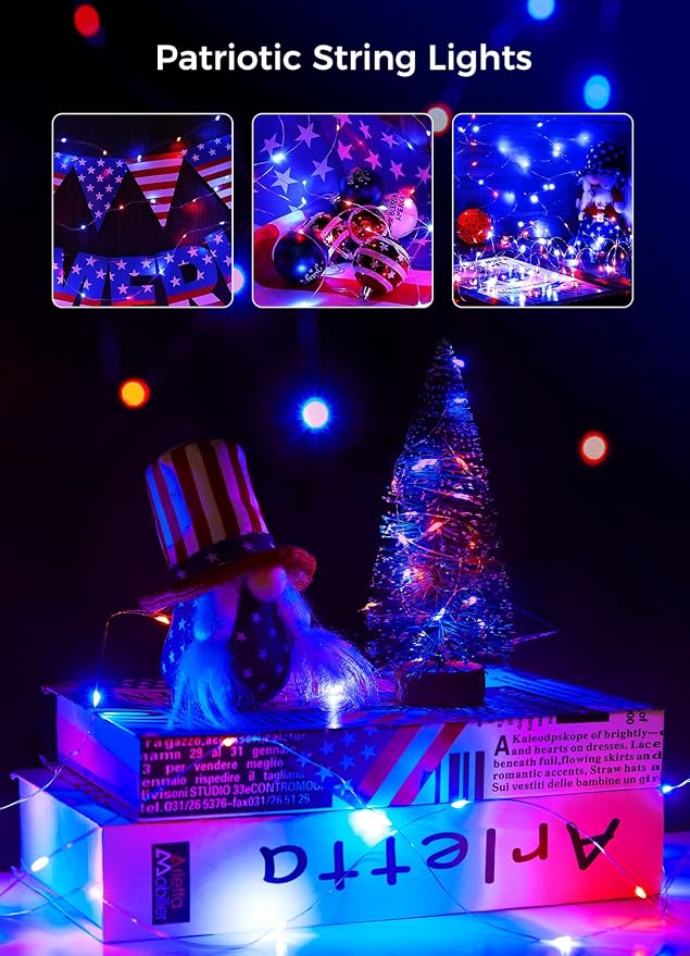 Brightown 4th of July Decor Patriotic Fairy Lights, 7 FT. Silver Wire Red White Blue String Lights, Firefly Starry Moon Lights, Micro LED Mini Fairy Lights for Jars DIY Picture Wedding
