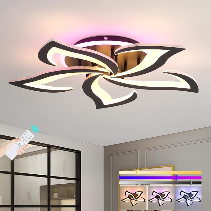 Modern LED Ceiling Light, Dimmable Flush Mount Ceiling Lights, Remote Control Acrylic Ceiling Lamp Fixture for Living Room Dining Room Bedroom,3000-6000K,Black