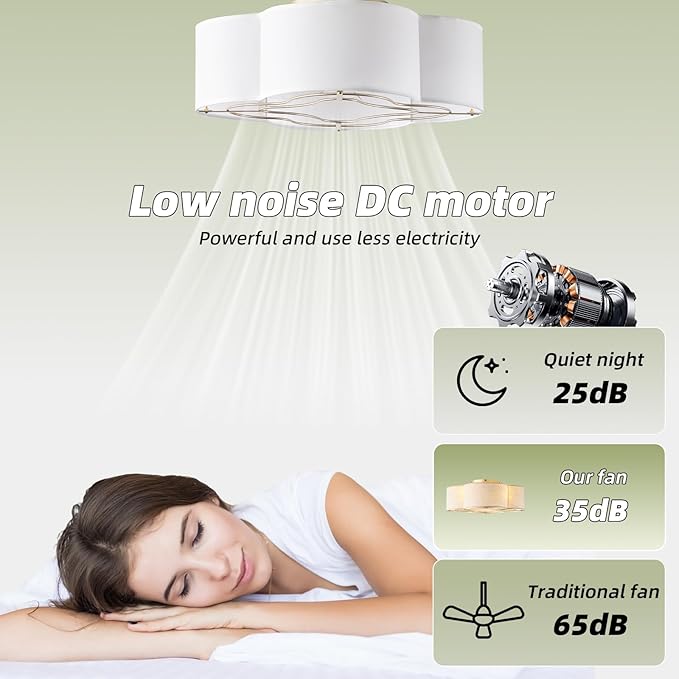 Caged Ceiling Fan with Light, Boho Flush Mount Ceiling Fan with Lights Remote Control, Rattan with 6 Speeds for Bedroom, Living Room, Foyer, Nursery