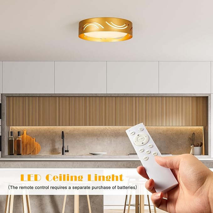 Modern Dimmable LED Flush Mount Ceiling Light with Remote, 2400LM 2700K-6500K Adjustable 12 Inch Bedroom Ceiling Light with Night Light for Kitchen Hallway Bathroom Living Room (Gold, Arc)