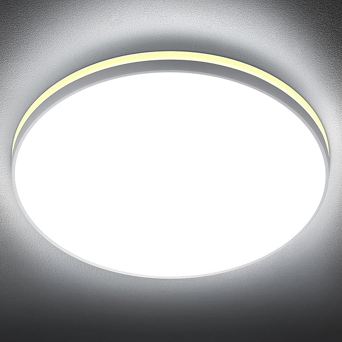SunRider LED Flush Mount Ceiling Light Fixture with Night Light, 6000K Cool White, 12 Inch 24W 2400LM Round Dimmable Flat Ceiling Lamp for Living Room